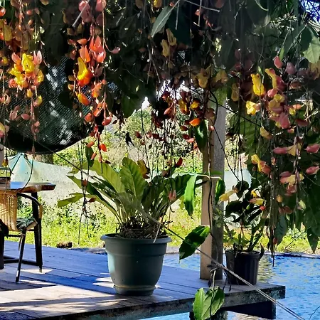 Greenhouse Loft Miravalles Aguas Claras  Exterior photo