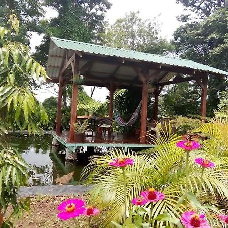 Greenhouse Loft Miravalles Aguas Claras  Exterior photo