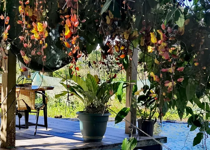 Greenhouse Loft Miravalles