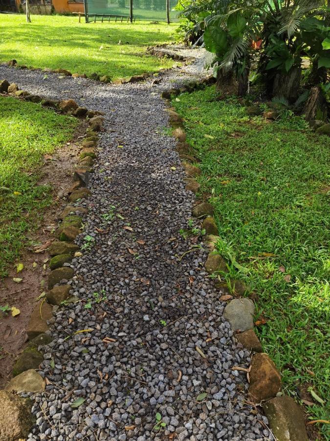 Chalet Greenhouse Loft Miravalles Aguas Claras (Alajuela)