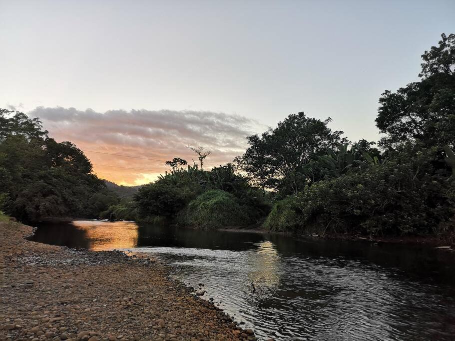 Greenhouse Loft Miravalles Chalet Aguas Claras (Alajuela)