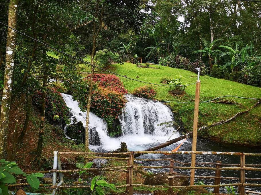 Greenhouse Loft Miravalles Chalet Aguas Claras (Alajuela)