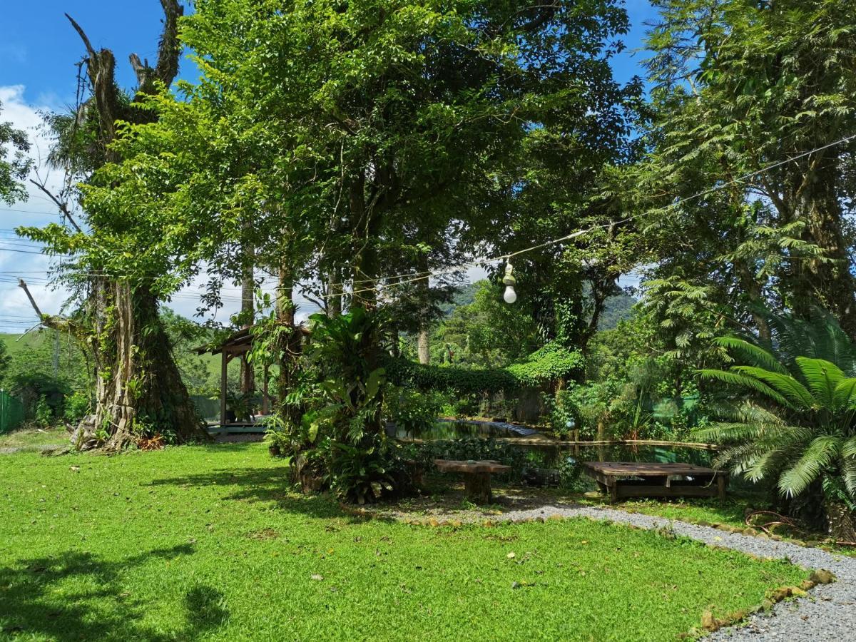 Greenhouse Loft Miravalles Aguas Claras (Alajuela)