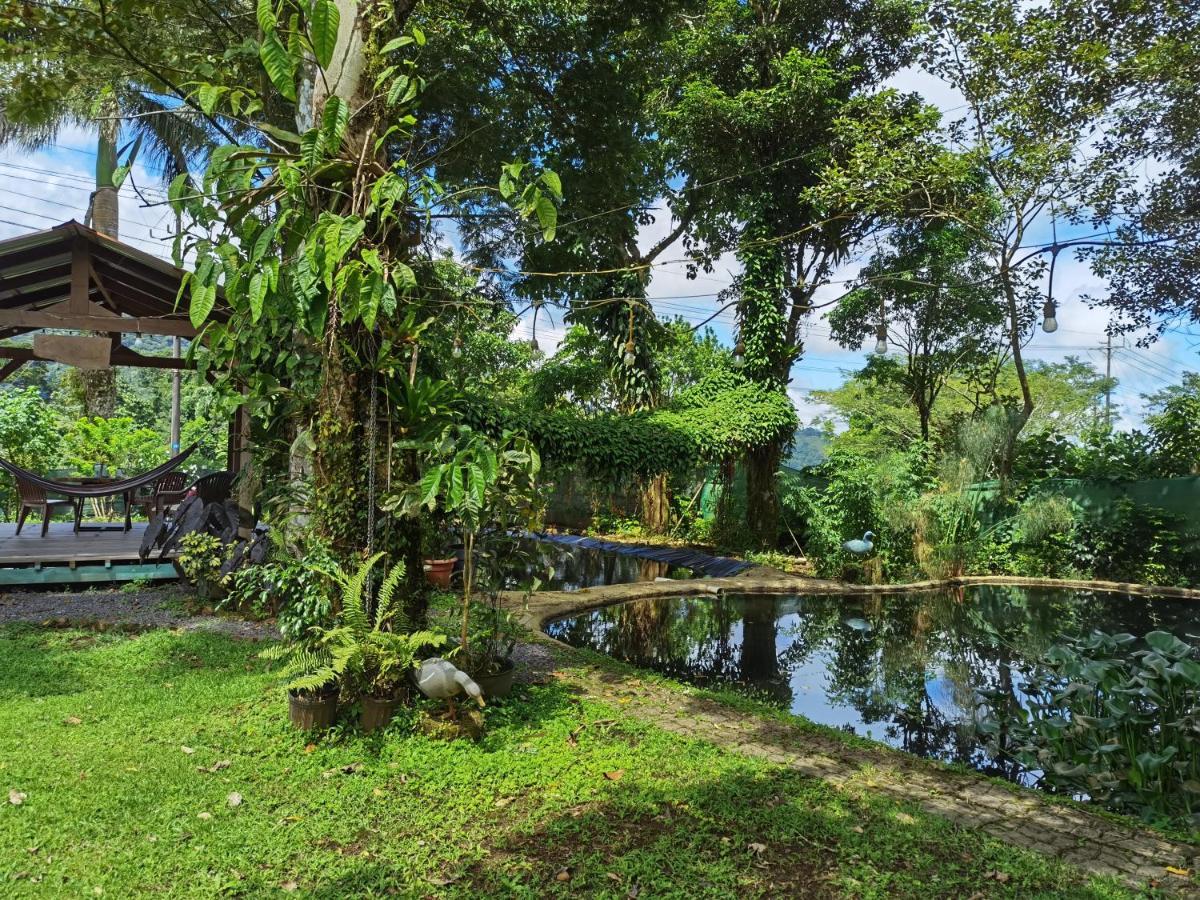 Greenhouse Loft Miravalles Chalet