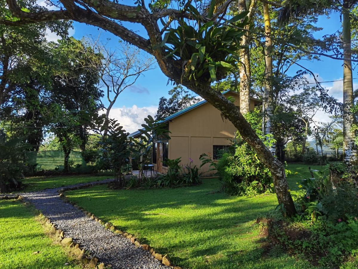 Greenhouse Loft Miravalles Chalet Aguas Claras (Alajuela)