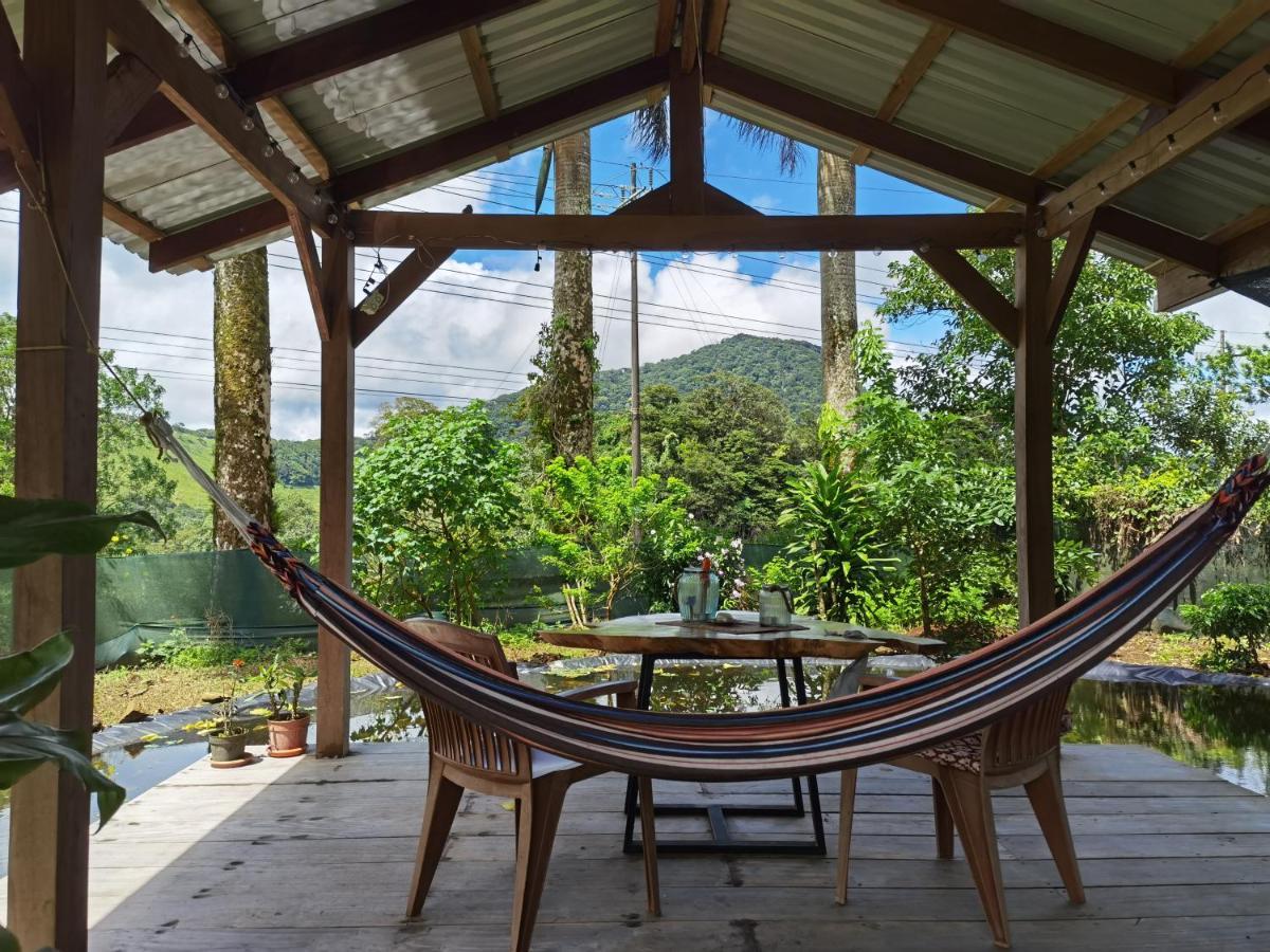 Greenhouse Loft Miravalles *