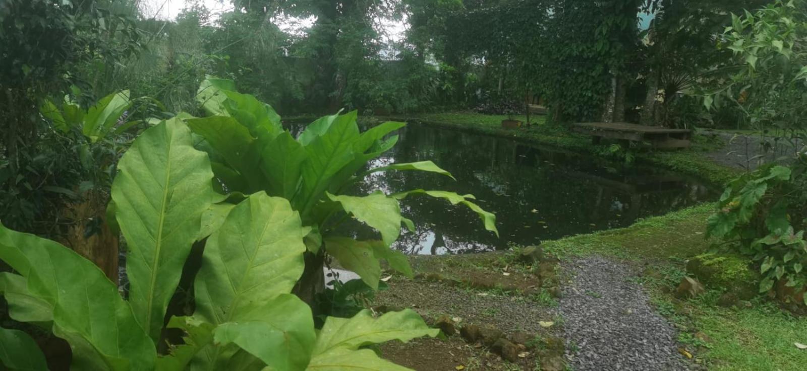 Greenhouse Loft Miravalles * Aguas Claras (Alajuela)