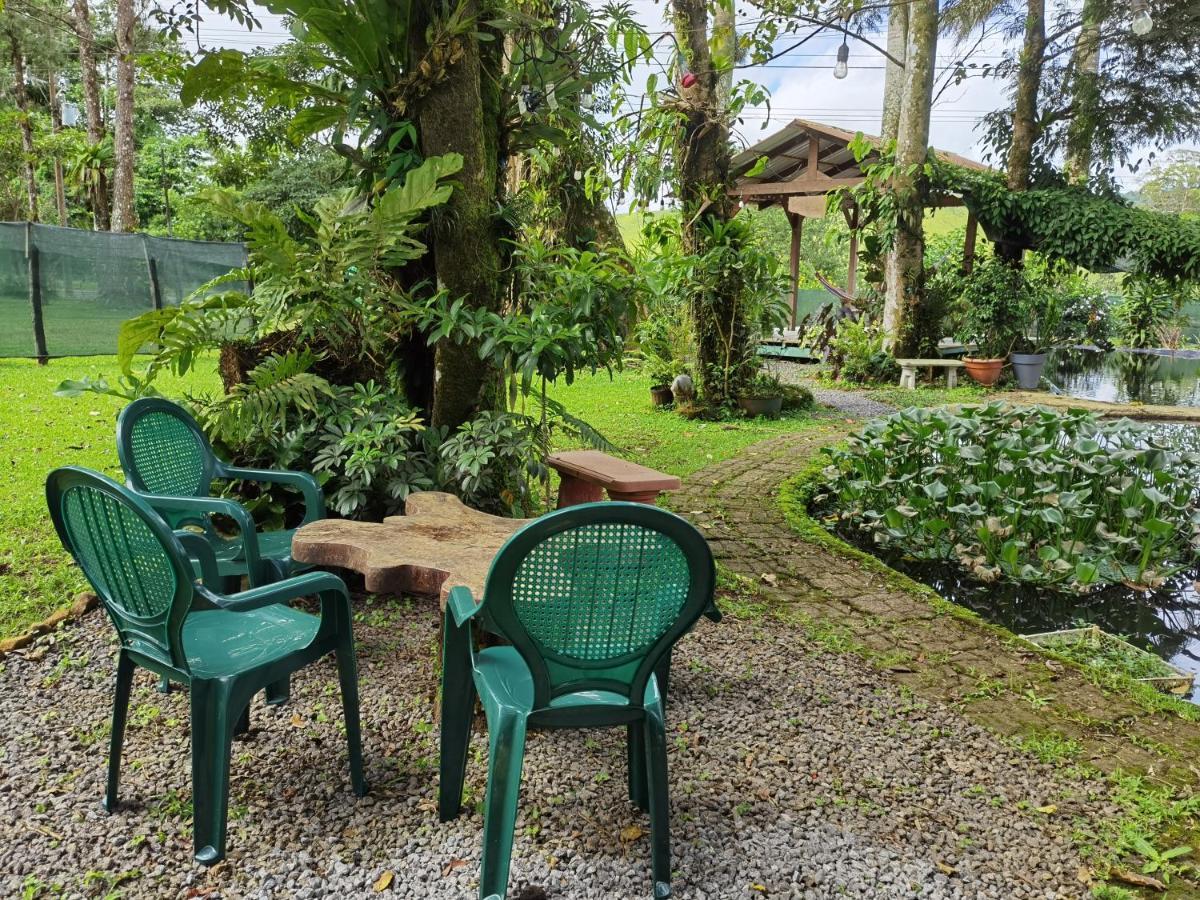 Chalet Greenhouse Loft Miravalles Aguas Claras (Alajuela)