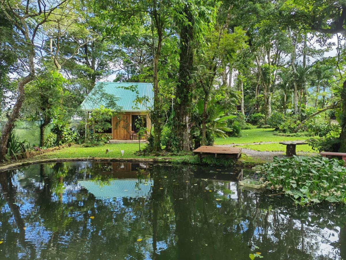Greenhouse Loft Miravalles Chalet Aguas Claras (Alajuela)