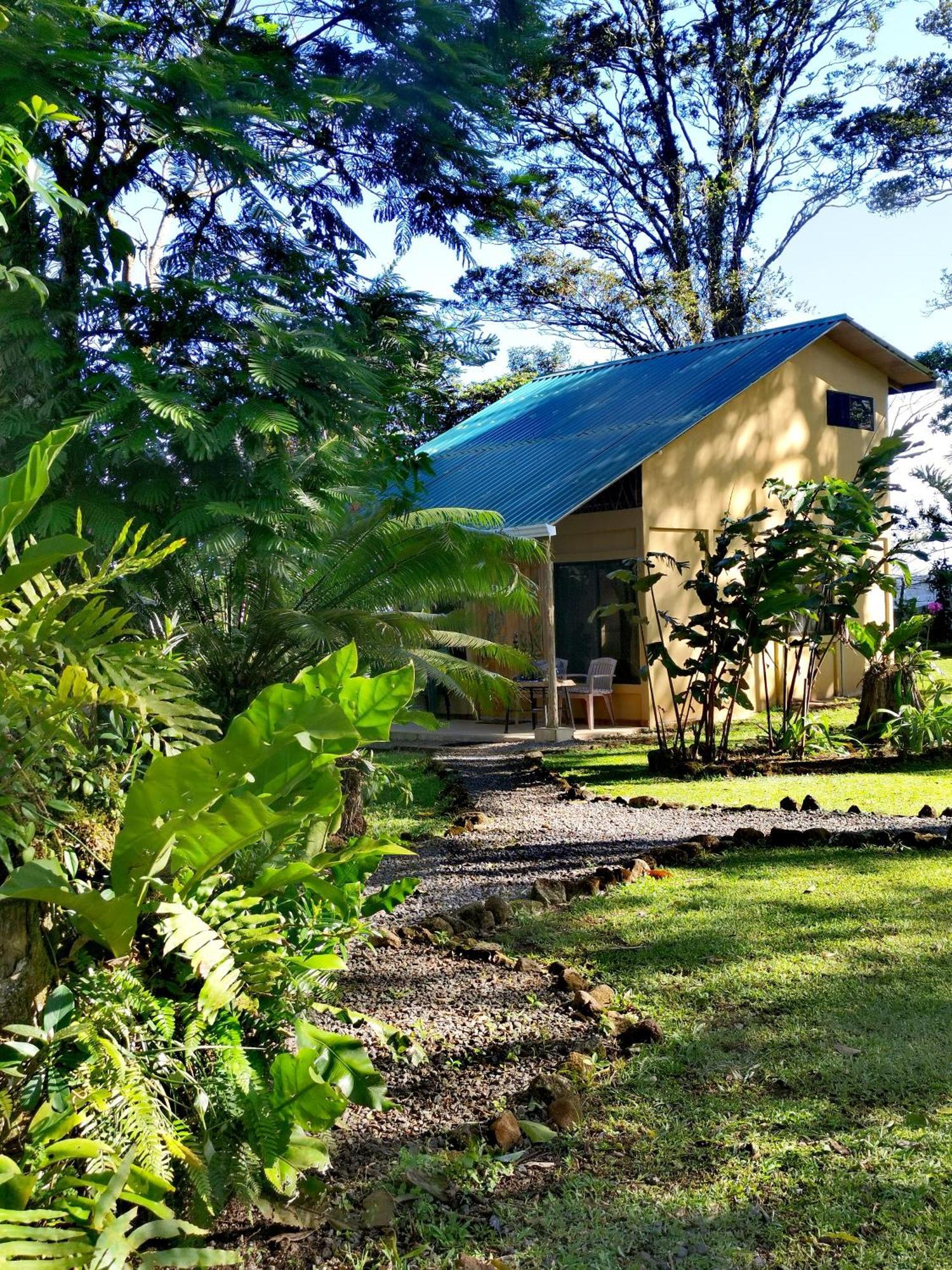 Chalet Greenhouse Loft Miravalles *