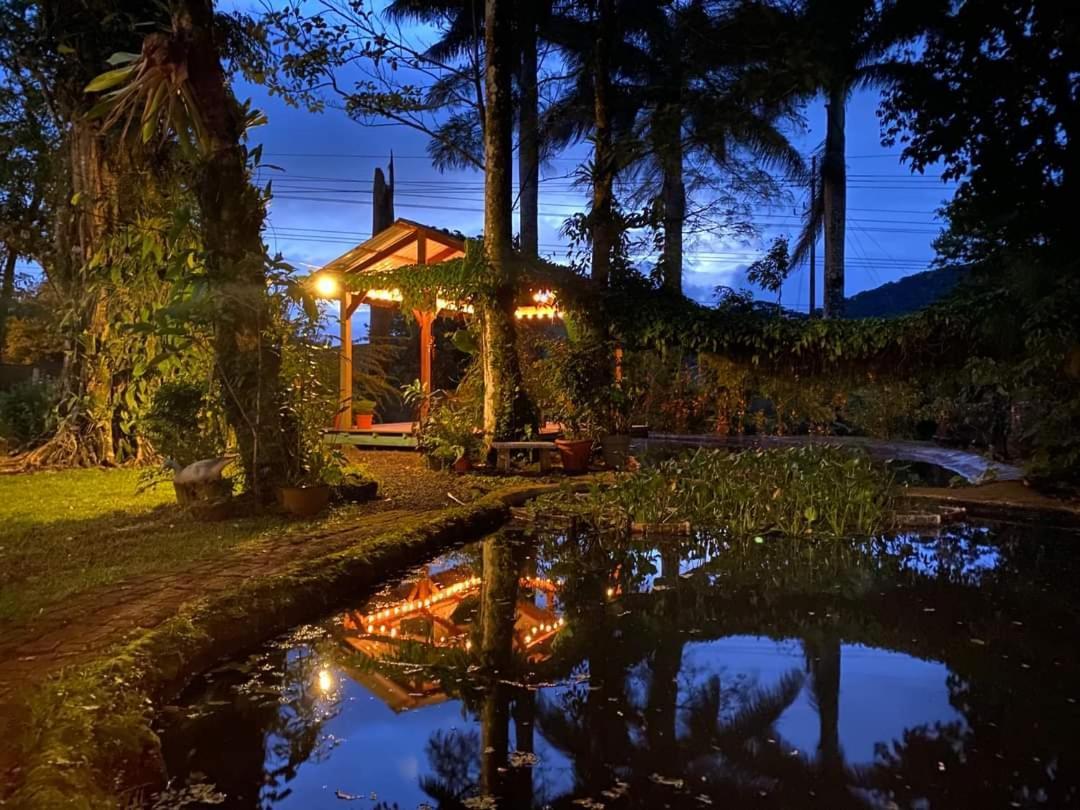 Greenhouse Loft Miravalles Aguas Claras (Alajuela)
