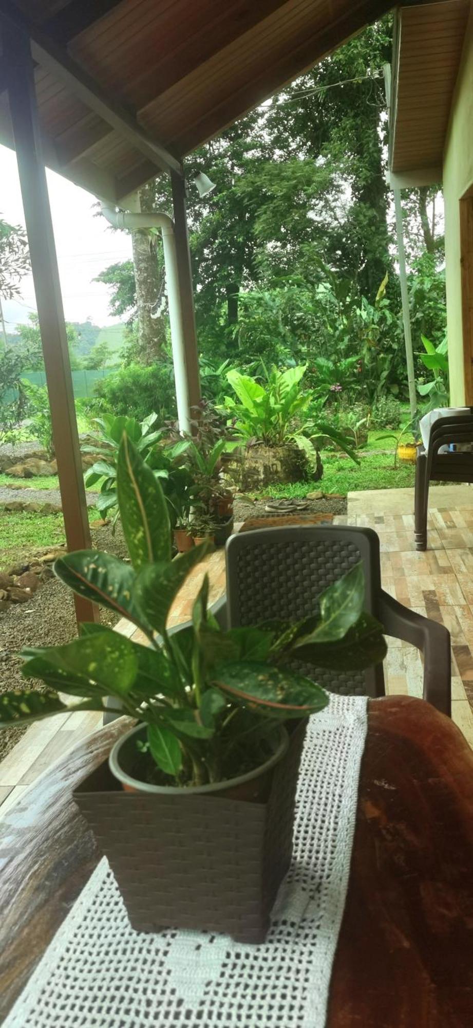 Greenhouse Loft Miravalles Chalet Aguas Claras (Alajuela)