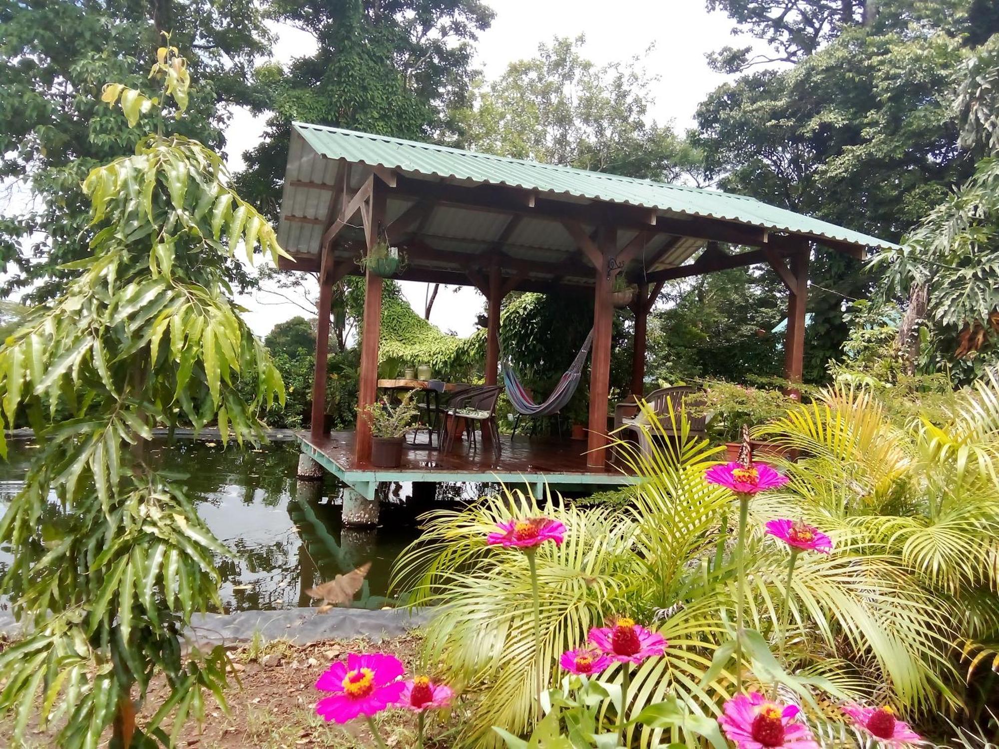 Chalet Greenhouse Loft Miravalles *